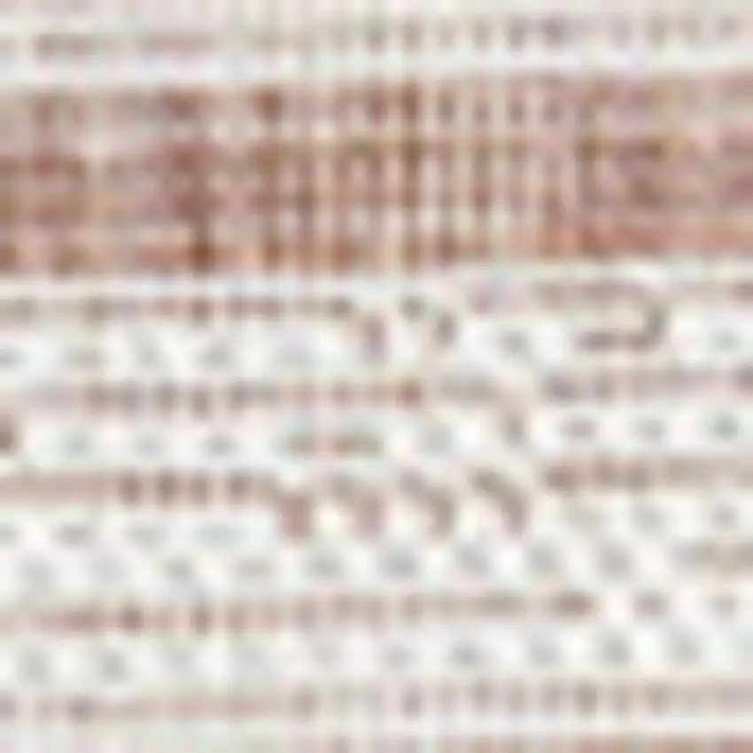 Salmon And Cream Indoor Outdoor Area Rug Photo 2