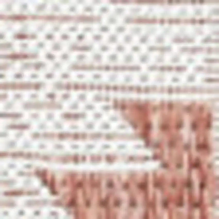 Salmon And Cream Moroccan Indoor Outdoor Area Rug Photo 2