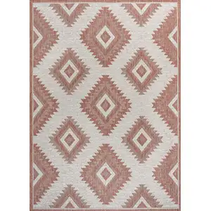 Photo of Salmon And Cream Moroccan Indoor Outdoor Area Rug
