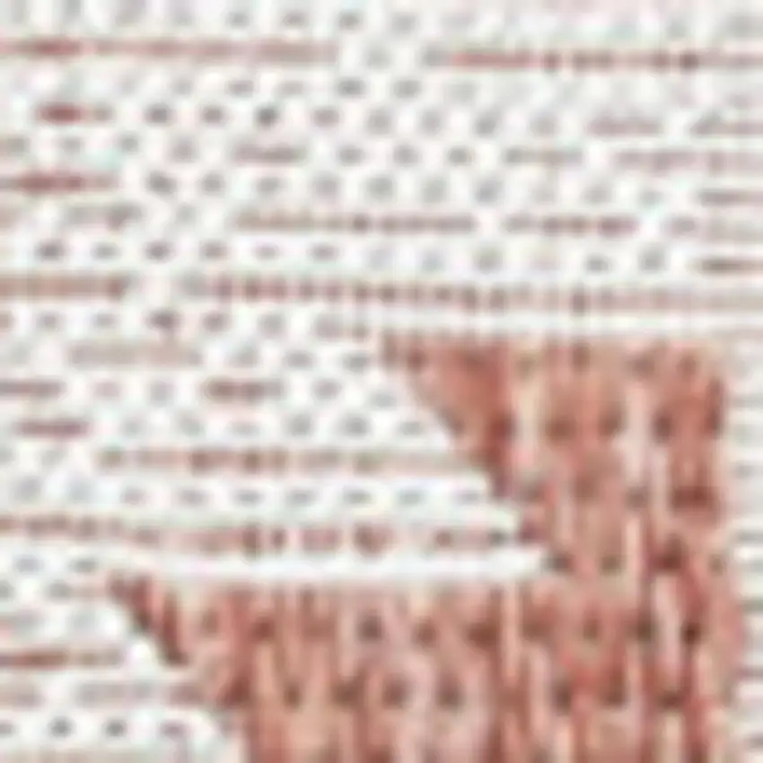Salmon And Cream Moroccan Indoor Outdoor Area Rug Photo 2