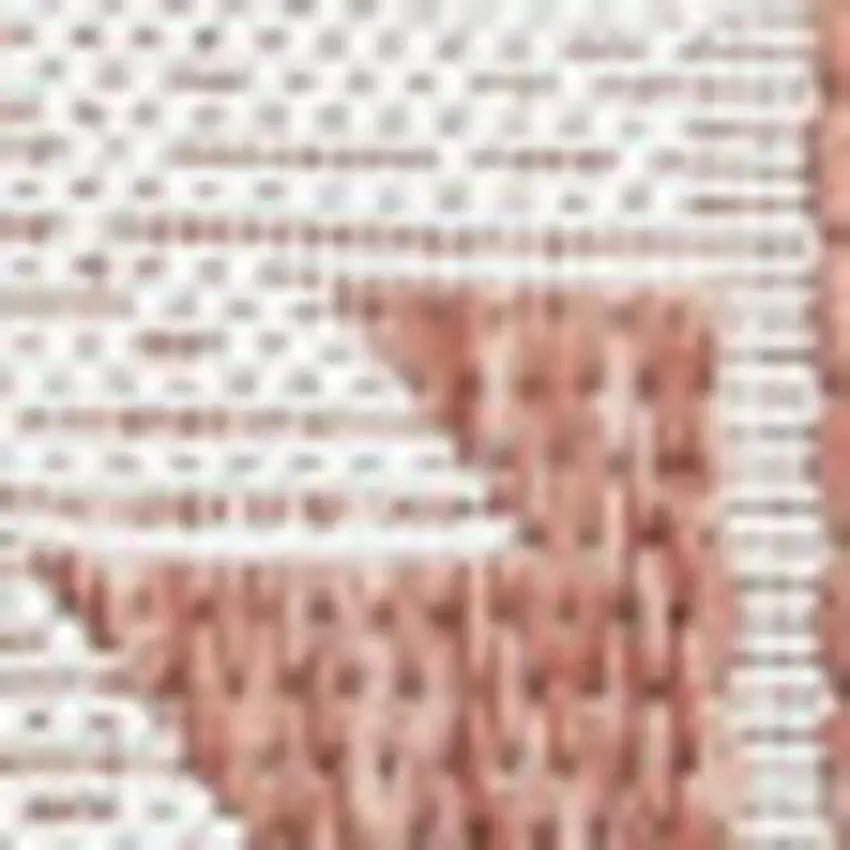 Salmon And Cream Moroccan Indoor Outdoor Area Rug Photo 2