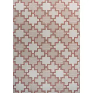 Photo of Salmon And Cream Trellis Indoor Outdoor Area Rug