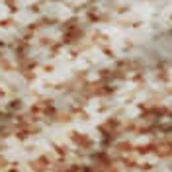 Salmon And Ivory Abstract Geometric Washable Area Rug With UV Protection Photo 4