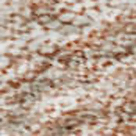 Salmon And Ivory Abstract Washable Area Rug With UV Protection Photo 2