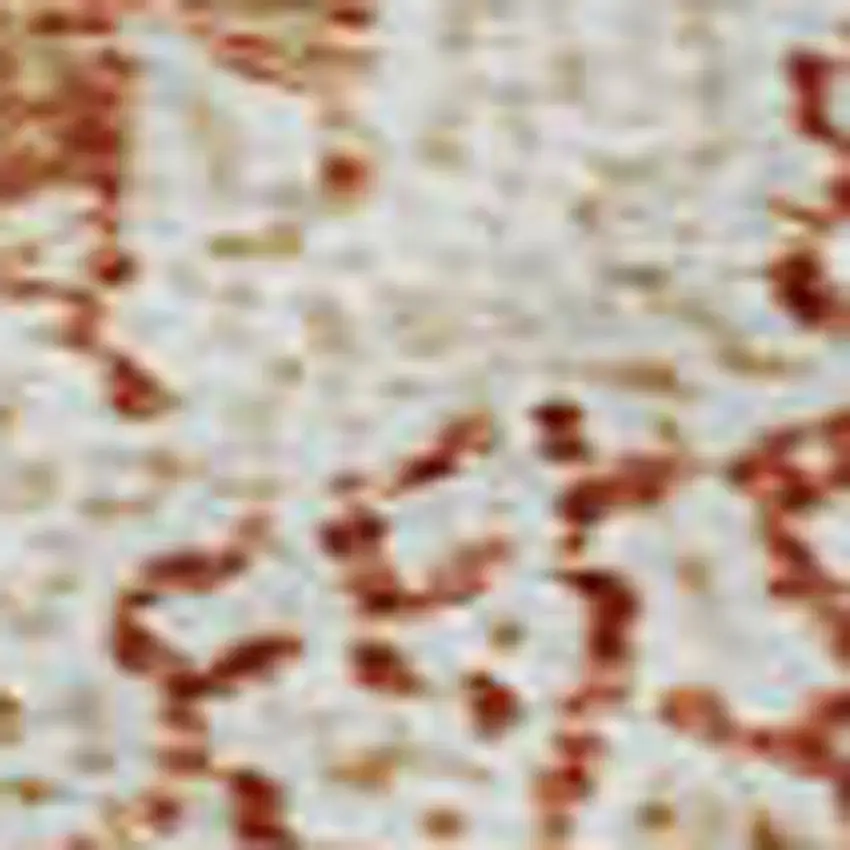 Salmon And Ivory Damask Washable Area Rug With UV Protection Photo 2