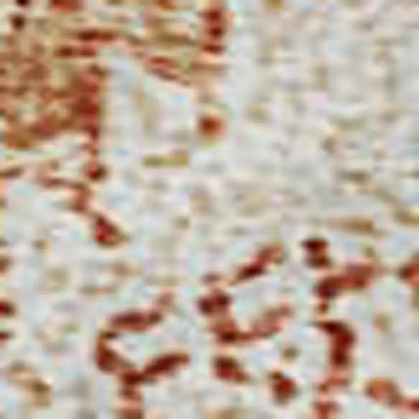 Salmon And Ivory Damask Washable Area Rug With UV Protection Photo 2