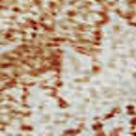 Salmon And Ivory Damask Washable Area Rug With UV Protection Photo 2