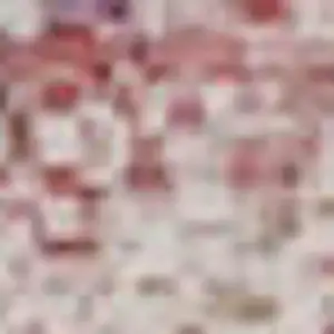 Photo of Salmon Ivory And Brown Abstract Washable Area Rug With UV Protection