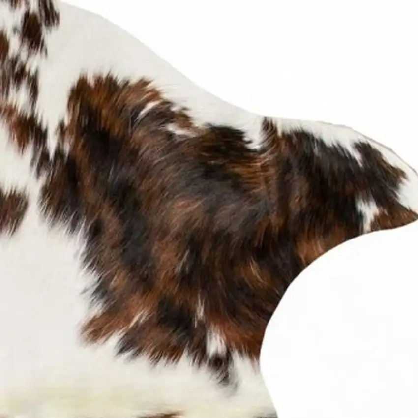 Brown And White Cowhide Cowhide Print Area Rug Photo 5