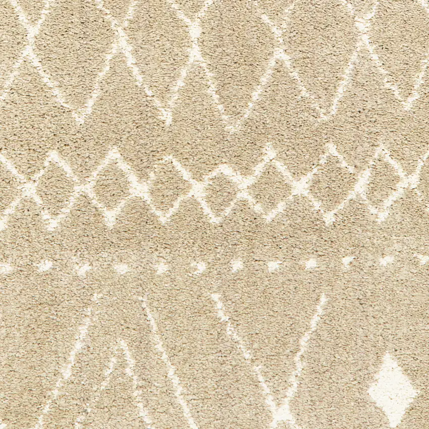 Sand And Ivory Geometric Power Loom Stain Resistant Area Rug Photo 7