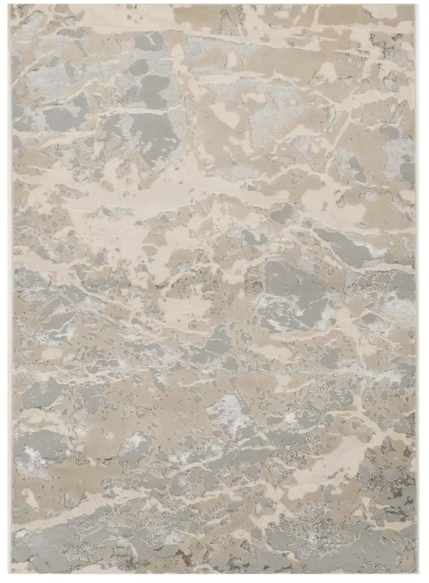 Sand Grey Machine Woven Abstract Indoor Area Rug Photo 2