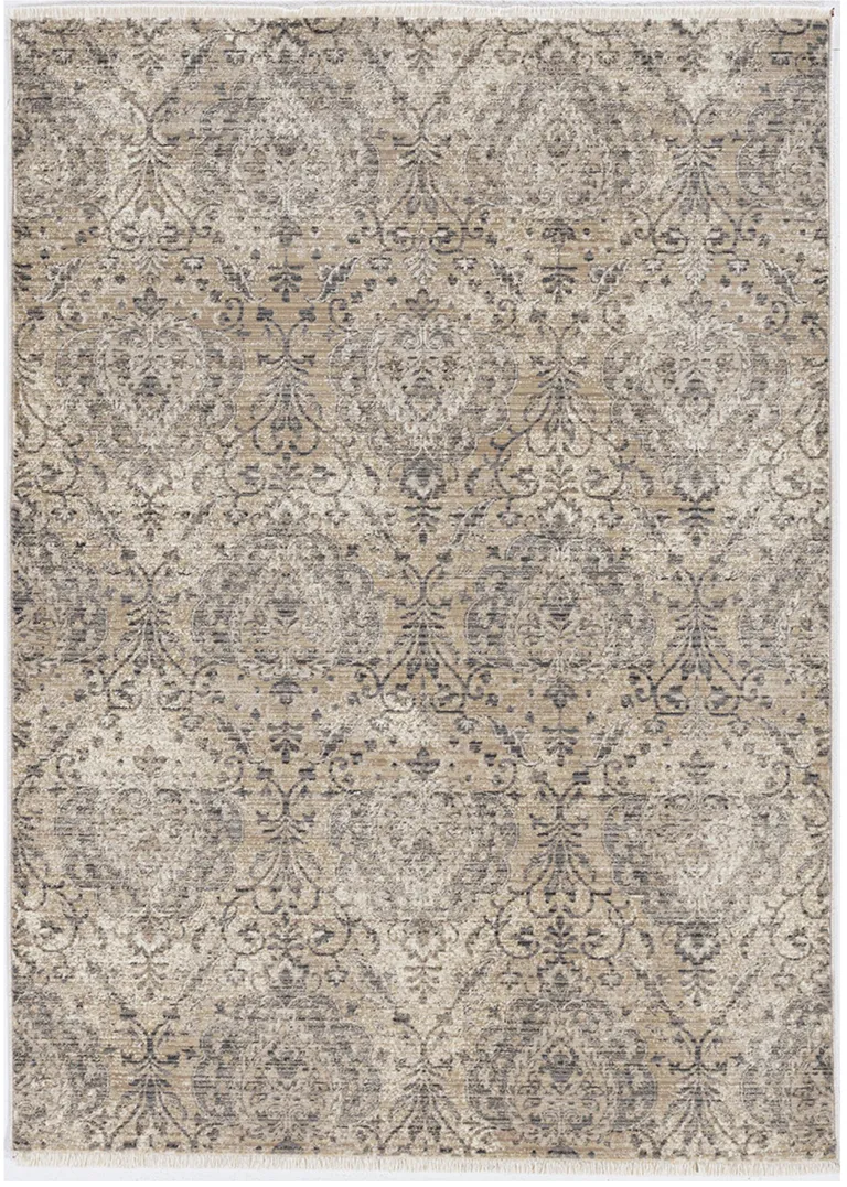Sand Grey Machine Woven Distressed Vintage Traditional Indoor Area Rug Photo 3