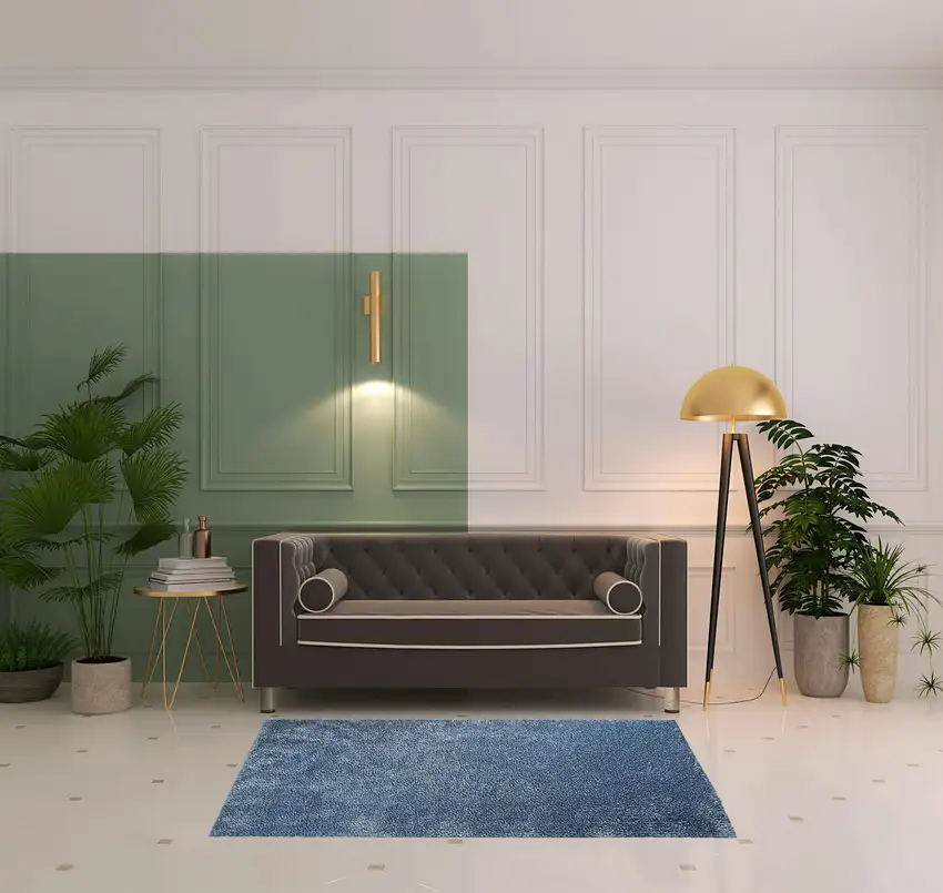 Shag Stain Resistant Area Rug Photo 9