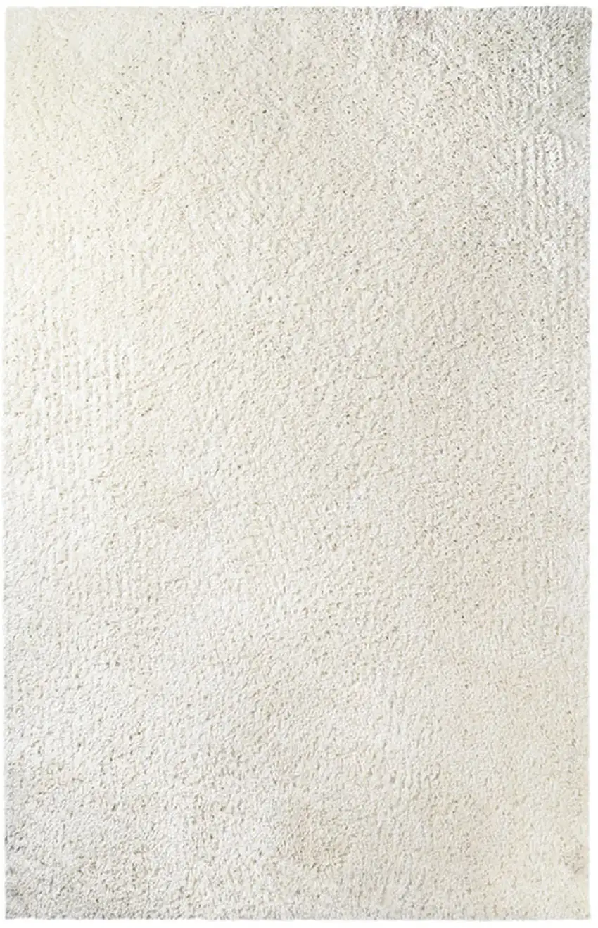 Shag Stain Resistant Area Rug Photo 1