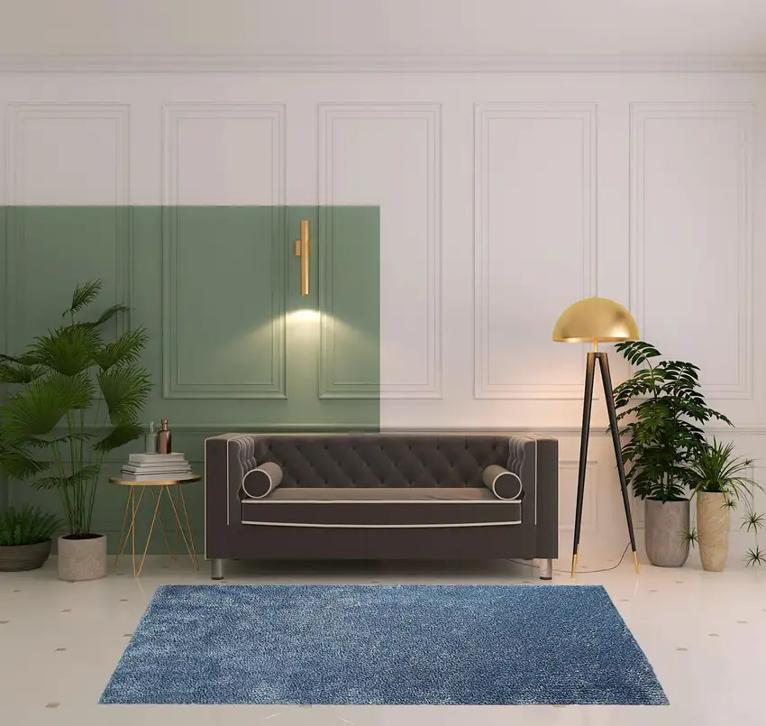 Shag Stain Resistant Area Rug Photo 9