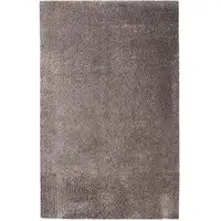 Photo of Shag Stain Resistant Area Rug