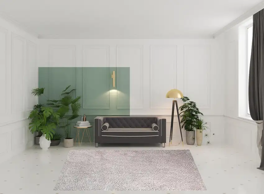 Shag Stain Resistant Area Rug Photo 9