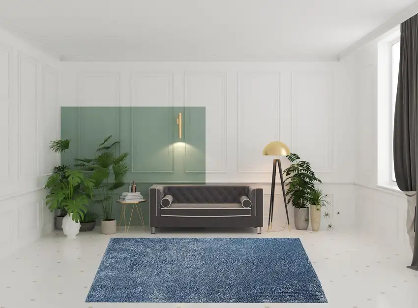 Shag Stain Resistant Area Rug Photo 9