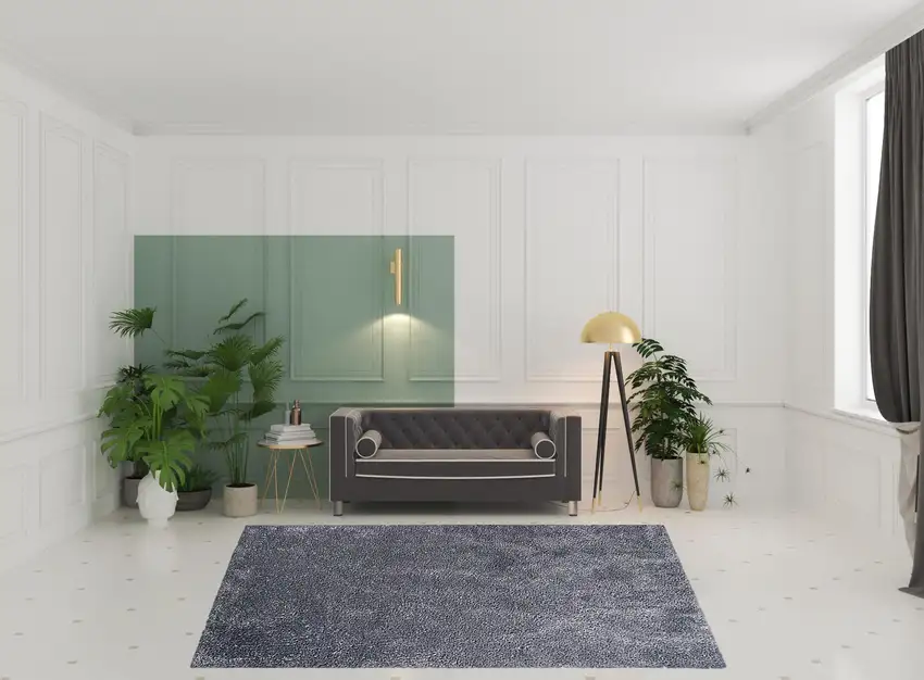 Shag Stain Resistant Area Rug Photo 9