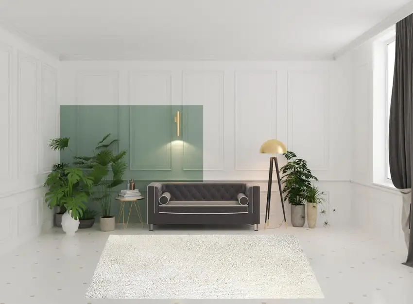 Shag Stain Resistant Area Rug Photo 9
