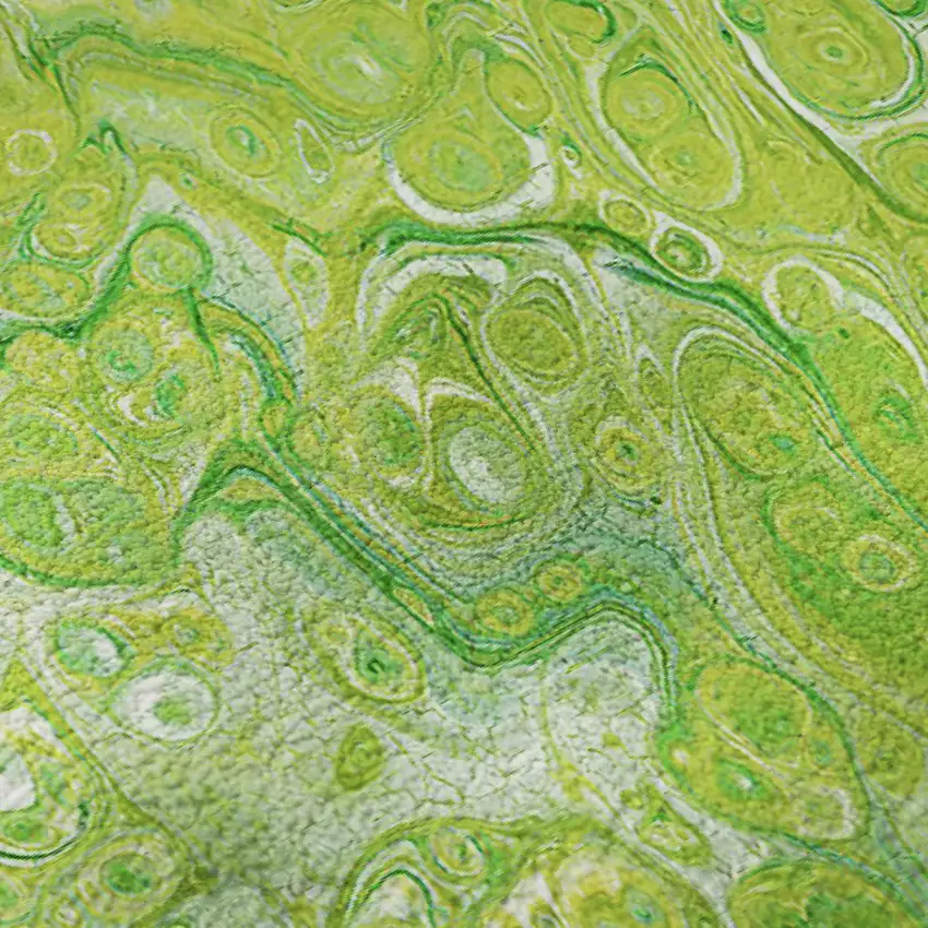 Shamrock Green And Ivory Abstract Washable Indoor Outdoor Area Rug Photo 8