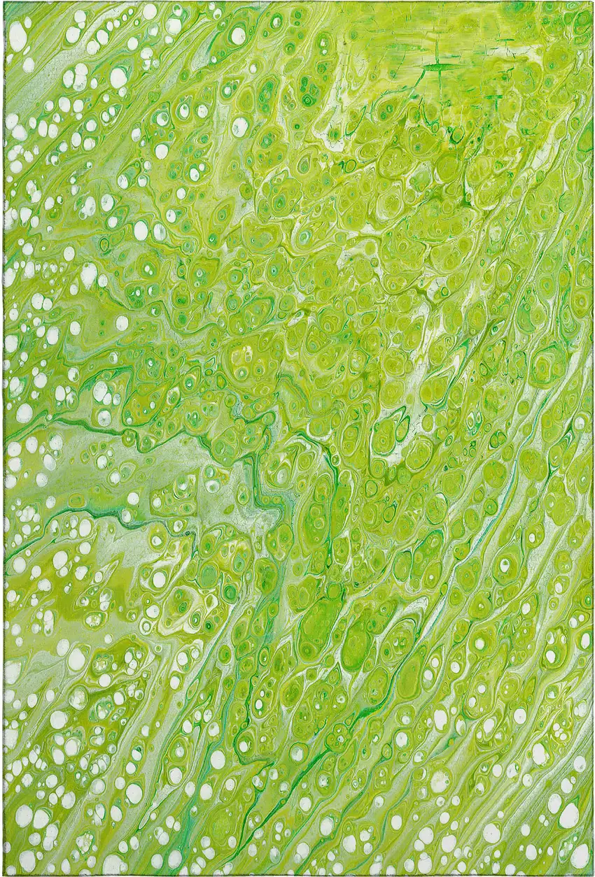 Shamrock Green And Ivory Abstract Washable Indoor Outdoor Area Rug Photo 2