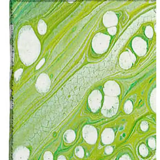 Shamrock Green And Ivory Abstract Washable Indoor Outdoor Area Rug Photo 4