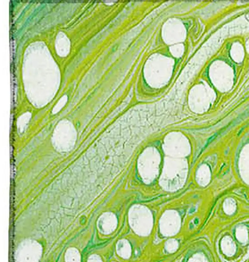 Shamrock Green And Ivory Abstract Washable Indoor Outdoor Area Rug Photo 4