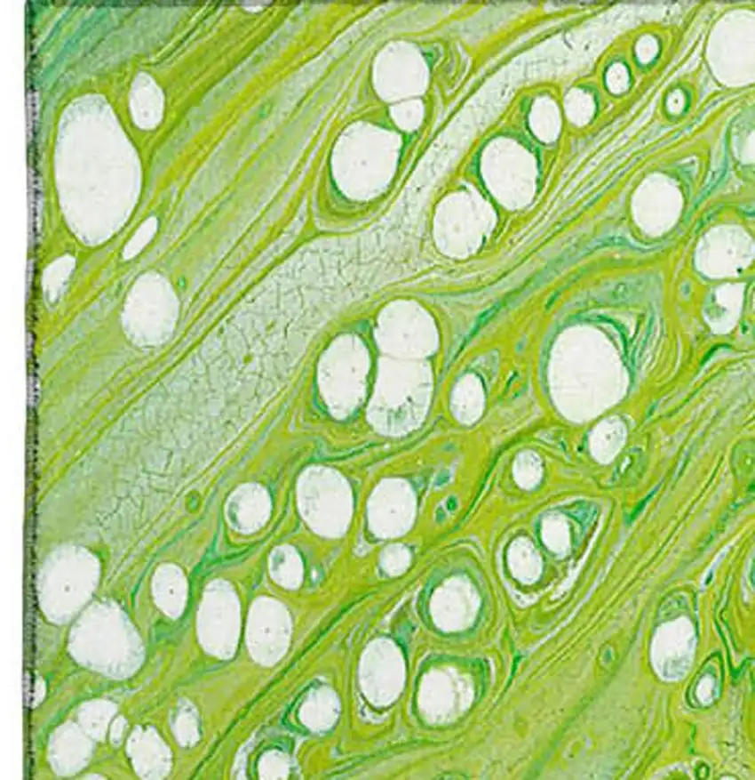 Shamrock Green And Ivory Abstract Washable Indoor Outdoor Area Rug Photo 5