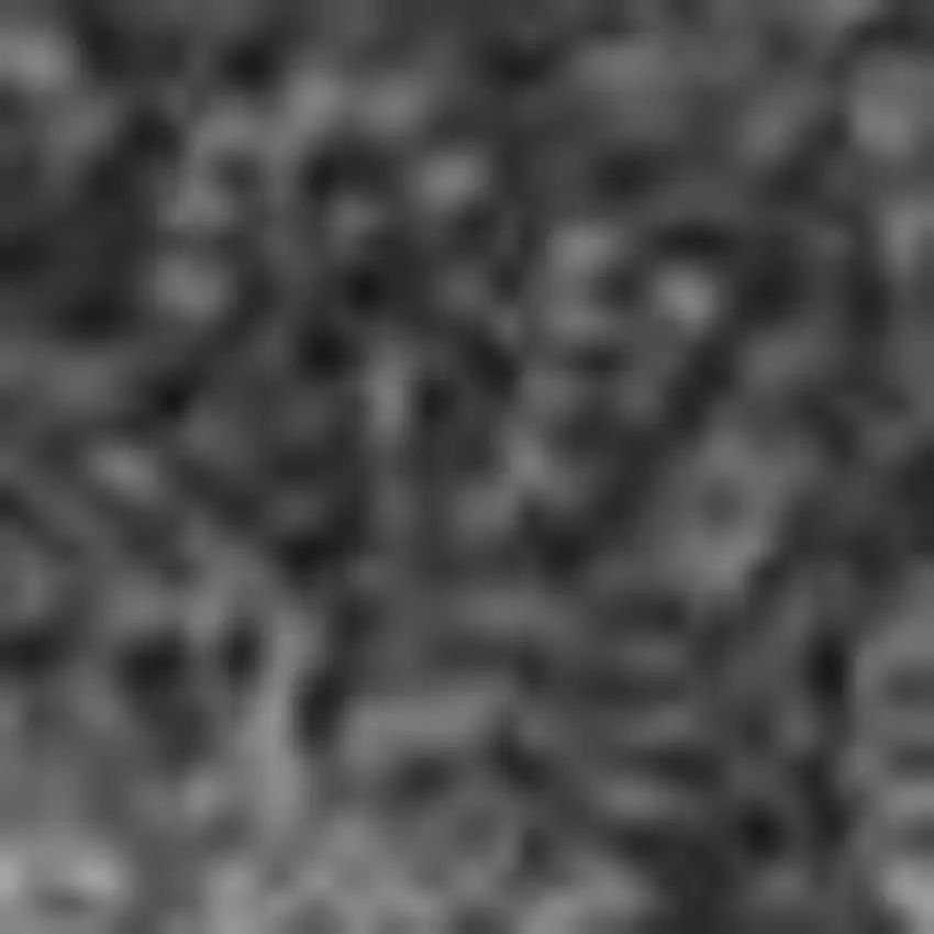 Silver And Black Ombre Washable Indoor Outdoor Area Rug Photo 3