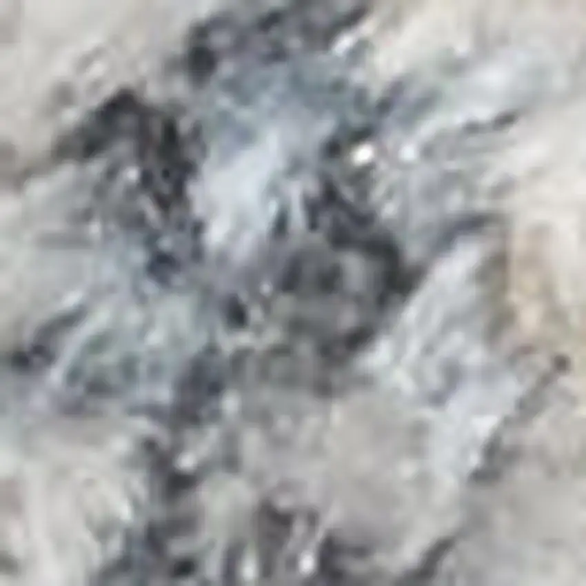 Silver And Gray Floral Medallion Washable Area Rug Photo 2