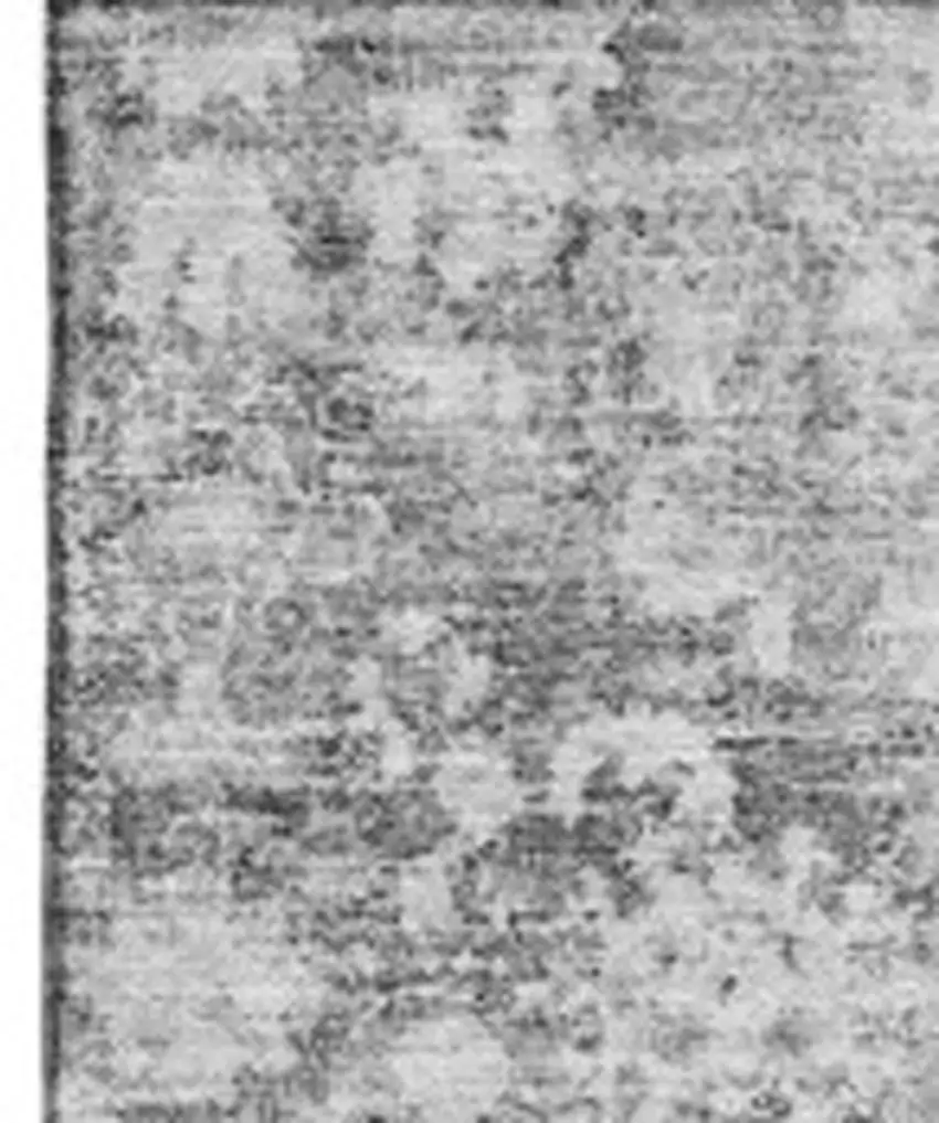 Silver And Gray Oriental Washable Area Rug With UV Protection Photo 3