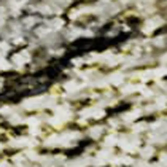 Silver Beige And Ivory Floral Medallion Washable Area Rug With UV Protection Photo 4