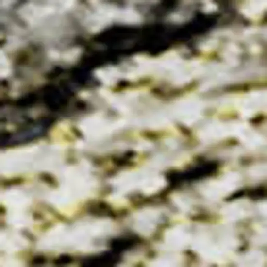 Silver Beige And Ivory Floral Medallion Washable Area Rug With UV Protection Photo 5