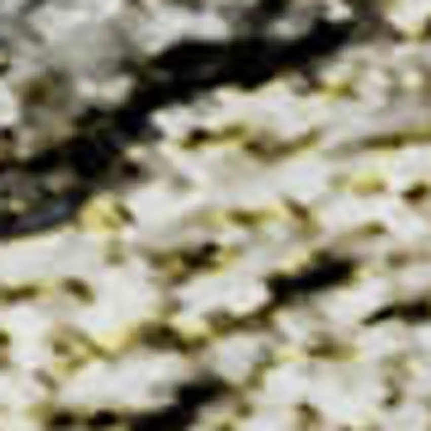 Silver Beige And Ivory Floral Medallion Washable Area Rug With UV Protection Photo 5