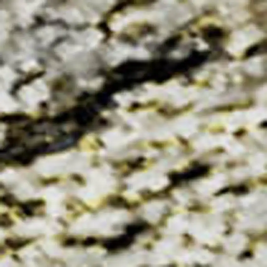 Silver Beige And Ivory Floral Medallion Washable Area Rug With UV Protection Photo 4