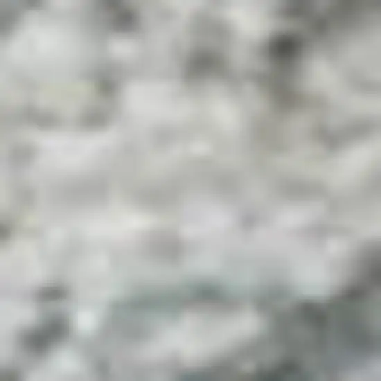 Silver Gray And Gold Floral Washable Area Rug With UV Protection Photo 3