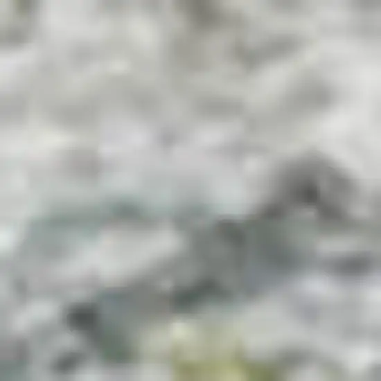 Silver Gray And Gold Floral Washable Area Rug With UV Protection Photo 3