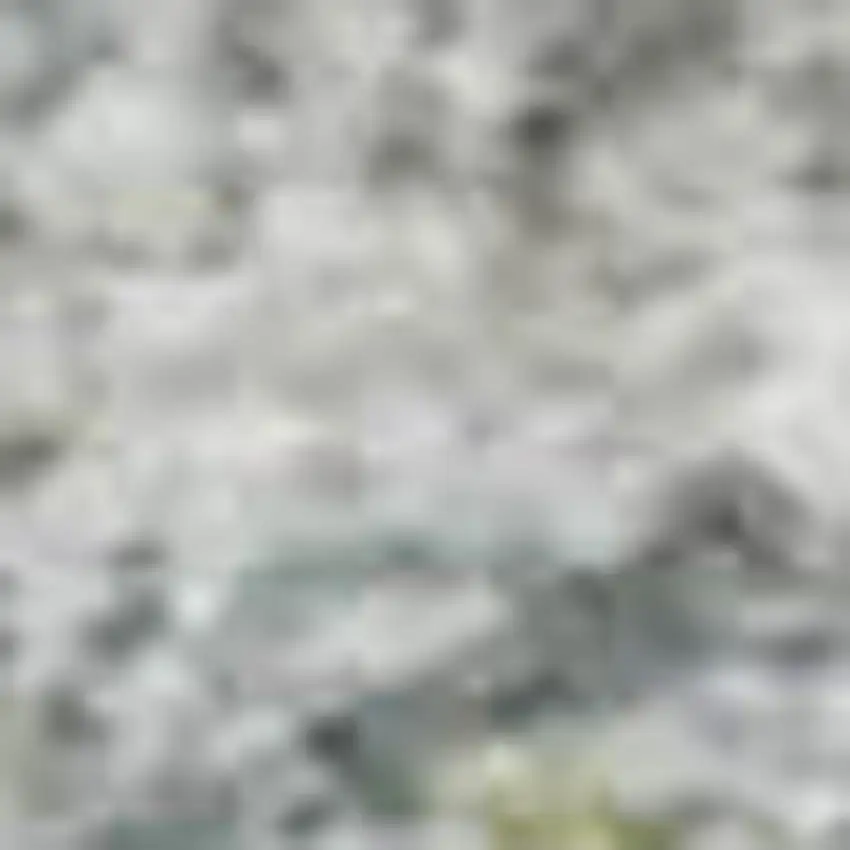 Silver Gray And Gold Floral Washable Area Rug With UV Protection Photo 4