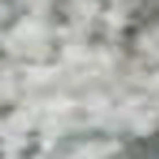 Silver Gray And Gold Floral Washable Area Rug With UV Protection Photo 3