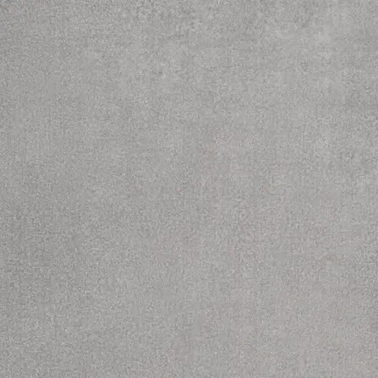 Gray Indoor Outdoor Area Rug Photo 6