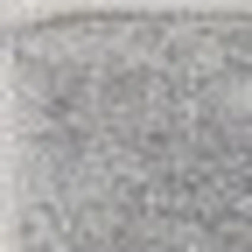 Silver Grey Non Skid Indoor Outdoor Area Rug Photo 4