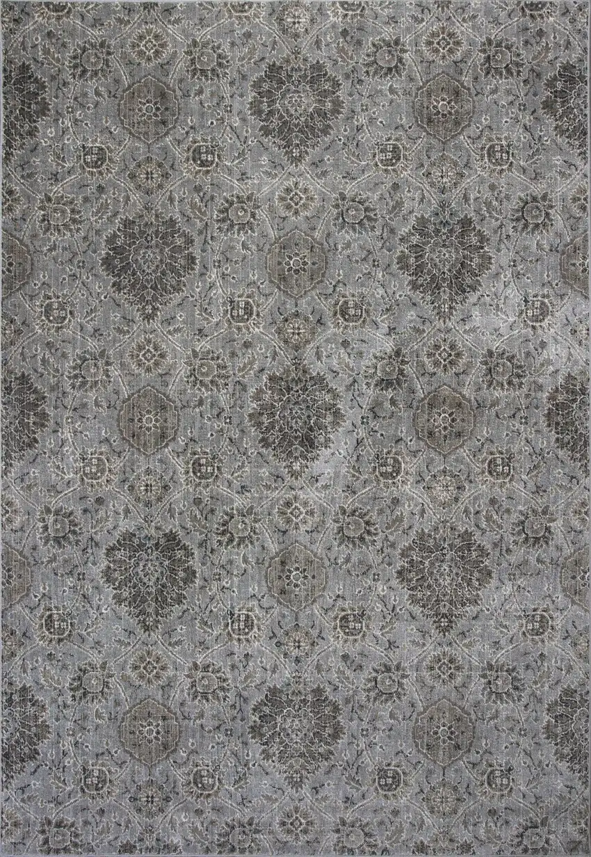 Silver Machine Woven Traditional Floral Indoor Area Rug Photo 1