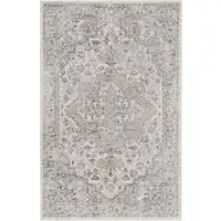 Photo of Silver Oriental Power Loom Washable Area Rug