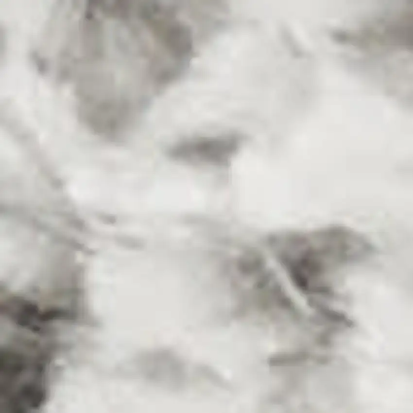 Silver Shag Area Rug Photo 3