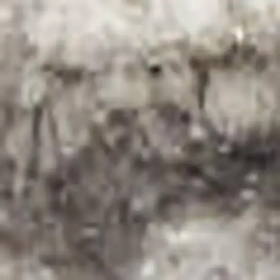 Silver and Ivory Geometric Non Skid Area Rug Photo 5