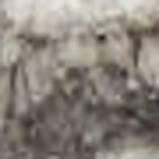 Silver and Ivory Geometric Non Skid Area Rug Photo 4