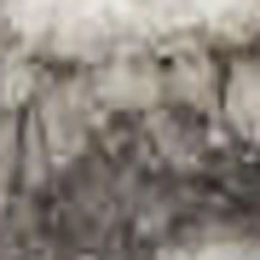 Silver and Ivory Geometric Non Skid Area Rug Photo 4