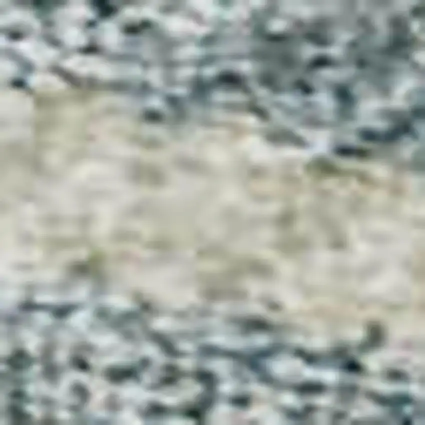 Sky Blue And Ivory Floral Washable Area Rug With UV Protection Photo 2