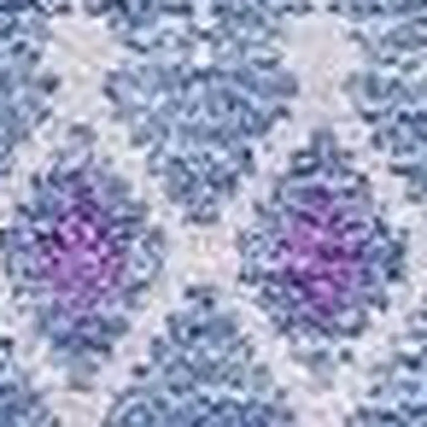 Sky Blue And Ivory Tribal Washable Area Rug With UV Protection Photo 6